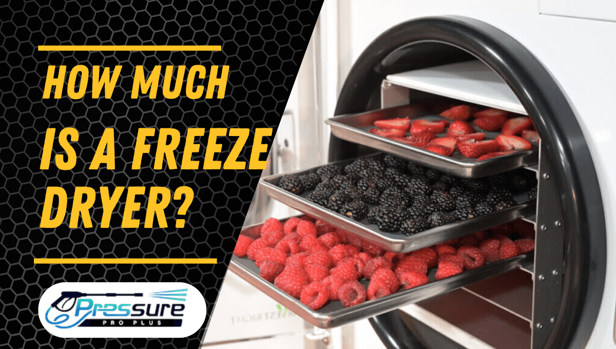 Read more about the article How Much is a Freeze Dryer? Uncover the True Costs Now!
